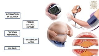 OBESIDAD
ABDOMINAL
PRESIÓN
ARTERIAL
ELEVADA
TRIGLICÉRIDOS
ALTOS
ALTERACIÓN DE
LA GLUCOSA
HDL BAJO
 