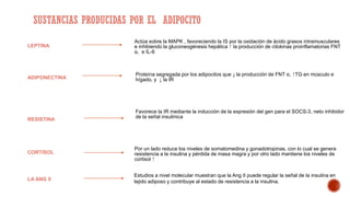 SUSTANCIAS PRODUCIDAS POR EL ADIPOCITO
RESISTINA
CORTISOL
ADIPONECTINA
LEPTINA
Actúa sobre la MAPK , favoreciendo la IS por la oxidación de ácido grasos intramusculares
e inhibiendo la gluconeogénesis hepática ⁭ la producción de citokinas proinflamatorias FNT
α, e IL-6
Proteína segregada por los adipocitos que ↓ la producción de FNT α, ⁭ TG en músculo e
hígado, y ↓ la IR
Favorece la IR mediante la inducción de la expresión del gen para el SOCS-3, neto inhibidor
de la señal insulínica
Por un lado reduce los niveles de somatomedina y gonadotropinas, con lo cual se genera
resistencia a la insulina y pérdida de masa magra y por otro lado mantiene los niveles de
cortisol ⁭
LA ANG II
Estudios a nivel molecular muestran que la Ang II puede regular la señal de la insulina en
tejido adiposo y contribuye al estado de resistencia a la insulina.
 