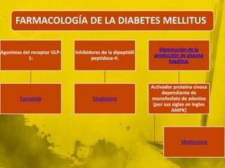 FARMACOLOGÍA DE LA DIABETES MELLITUS

                                                                Disminución de la
Agonistas del receptor GLP-   Inhibidores de la dipeptidil
                                                              producción de glucosa
            1:                       peptidasa-4:
                                                                    hepática.



                                                             Activador proteína cinasa
                                                                  dependiente de
        Exenatida                     Sitagliptina           monofosfato de adenina
                                                              (por sus siglas en ingles
                                                                      AMPK)




                                                                           Metformina
 