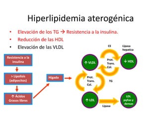 Hiperlipidemia aterogénica 
• Elevación de los TG  Resistencia a la insulina. 
• Reducción de las HDL 
• Elevación de las...