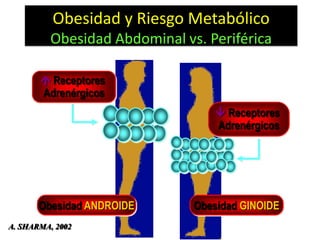 Obesidad y Riesgo Metabólico
          Obesidad Abdominal vs. Periférica

        Receptores
       Adrenérgicos
                                    Receptores
                                   Adrenérgicos




       Obesidad ANDROIDE       Obesidad GINOIDE
A. SHARMA, 2002
 