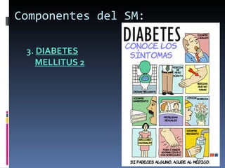 Componentes del SM: 3.  DIABETES MELLITUS 2 
