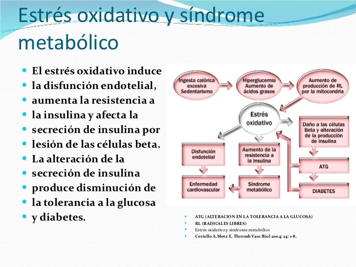 Sindrome metabolico y nutricion dra. sosa Sindrome metabolico y nutricion dra. sosa