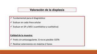 Valoración de la displasia
 Fundamental para el diagnóstico
 Evaluar en cada línea celular
 Evaluar en SP y MO ( cuantitativa y cualitativa)
Calidad de la muestra:
 Frotis sin anticoagulante. Si no es posible: EDTA
 Realizar extensiones en máximo 2 horas
 
