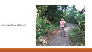 Gracias por su atención
 