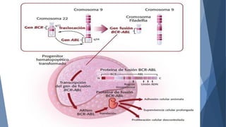 Comprehensive Overview of Chronic Myeloid Leukemia: Pathogenesis ...