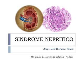 SINDROME NEFRITICO
Jorge Luis Burbano Eraso
Universidad Cooperativa de Colombia - Medicina

 
