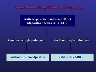 Glomerulonefritis mediadas por anticuerpos
Anticuerpos circulantes anti MBG
(depósitos lineales a la I.F.)

Con hemorragia pulmonar

Sin hemorragia pulmonar

Sindrome de Goodpasture

GNF anti - MBG

 