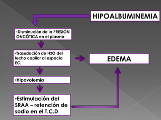 HIPOALBUMINEMIA

•Disminución de la PRESIÓN
ONCÓTICA en el plasma



•Trasudación de H2O del
lecho capilar al espacio
EC.
                                EDEMA

•Hipovolemia



•Estimulación del
SRAA – retención de
sodio en el T.C.D
 