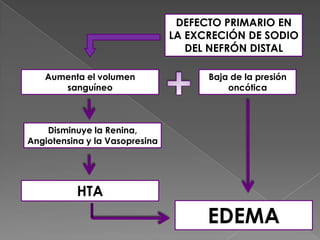 DEFECTO PRIMARIO EN
                                LA EXCRECIÓN DE SODIO
                                   DEL NEFRÓN DISTAL

   Aumenta el volumen                 Baja de la presión
      sanguíneo                           oncótica



    Disminuye la Renina,
Angiotensina y la Vasopresina




           HTA
                                      EDEMA
 