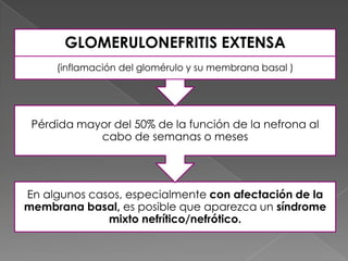 GLOMERULONEFRITIS EXTENSA
     (inflamación del glomérulo y su membrana basal )




 Pérdida mayor del 50% de la función de la nefrona al
            cabo de semanas o meses




En algunos casos, especialmente con afectación de la
membrana basal, es posible que aparezca un síndrome
              mixto nefrítico/nefrótico.
 