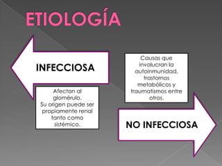 Causas que
                         involucran la
INFECCIOSA              autoinmunidad,
                           trastornos
                         metabólicos y
     Afectan al       traumatismos entre
     glomérulo.               otros.
Su origen puede ser
 propiamente renal
    tanto como
      sistémico.      NO INFECCIOSA
 