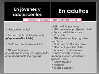 En jóvenes y
      adolescentes
                                                    En adultos
                 enfermedades causales que se observan con más frecuencia



                                           LES o nefritis por lupus
 Nefropatía por IgA                        GN membranoproliferativa I y II
                                            Endocarditis infecciosa
 Púrpura de Schönlein-Henoch               Vasculitis
(púrpura anafilactoide)                     GN rápidamente progresiva
                                           (semilunar)
 Síndrome urémico hemolítico               Síndrome de Goodpasture
                                            Neumonía por Klebsiella
 Glomerulonefritis                         Abscesos abdominales
postestreptocócica (prototipo de la         Enfermedades virales:
enfermedad nefrítica aguda)                (mononucleosis, sarampión,
                                           paperas, etc.)
                                            Fiebre tifoidea
                                            Hepatitis
                                            Sífilis(Y otras ITS).
 