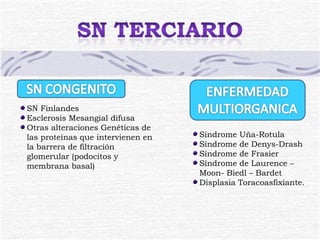 SN Finlandes Esclerosis Mesangial difusa Otras alteraciones Genéticas de las proteínas que intervienen en la barrera de filtración glomerular (podocitos y membrana basal) Síndrome Uña-Rotula Síndrome de Denys-Drash Síndrome de Frasier Síndrome de Laurence – Moon- Biedl – Bardet Displasia Toracoasfixiante. 