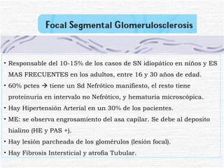 Responsable del 10-15% de los casos de SN idiopático en niños y ES MAS FRECUENTES en los adultos, entre 16 y 30 años de edad. 60% pctes    tiene un Sd Nefrótico manifiesto, el resto tiene proteinuria en intervalo no Nefrótico, y hematuria microscópica. Hay Hipertensión Arterial en un 30% de los pacientes. ME: se observa engrosamiento del asa capilar. Se debe al deposito hialino (HE y PAS +). Hay lesión parcheada de los glomérulos (lesión focal). Hay Fibrosis Intersticial y atrofia Tubular. 