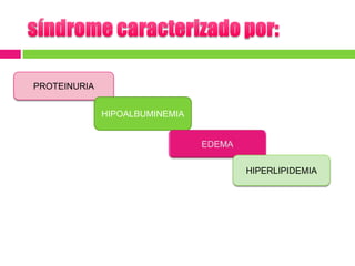 Sindrome nefrotico Slide 4