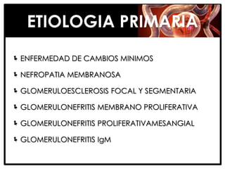 ETIOLOGIA PRIMARIA
 ENFERMEDAD DE CAMBIOS MINIMOS

 NEFROPATIA MEMBRANOSA

 GLOMERULOESCLEROSIS FOCAL Y SEGMENTARIA

 GLOMERULONEFRITIS MEMBRANO PROLIFERATIVA

 GLOMERULONEFRITIS PROLIFERATIVAMESANGIAL

 GLOMERULONEFRITIS IgM
 