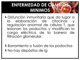 ENFERMEDAD DE CAMBIOS
           MINIMOS
Disfunción inmunitaria que da lugar a
 la elaboración de citocinas y
 regulación anormal de células T, que
 lesionan los podocitos y modifican la
 carga eléctrica de la barrera de
 filtración glomerular.

Borramiento o fusión de los podocitos
No hay depósitos de Ig
 