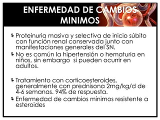 ENFERMEDAD DE CAMBIOS
           MINIMOS
Proteinuria masiva y selectiva de inicio súbito
 con función renal conservada junto con
 manifestaciones generales del SN.
No es común la hipertensión o hematuria en
 niños, sin embargo si pueden ocurrir en
 adultos.

Tratamiento con corticoesteroides,
 generalmente con prednisona 2mg/kg/d de
 4-6 semanas. 94% de respuesta.
Enfermedad de cambios mínimos resistente a
 esteroides
 