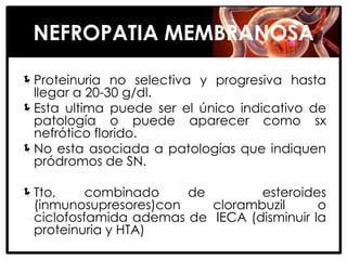 NEFROPATIA MEMBRANOSA

Proteinuria no selectiva y progresiva hasta
 llegar a 20-30 g/dl.
Esta ultima puede ser el único indicativo de
 patología o puede aparecer como sx
 nefrótico florido.
No esta asociada a patologías que indiquen
 pródromos de SN.

Tto,     combinado    de        esteroides
 (inmunosupresores)con    clorambuzil      o
 ciclofosfamida ademas de IECA (disminuir la
 proteinuria y HTA)
 