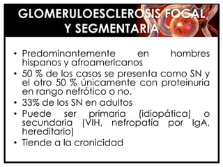 GLOMERULOESCLEROSIS FOCAL
     Y SEGMENTARIA
• Predominantemente        en     hombres
  hispanos y afroamericanos
• 50 % de los casos se presenta como SN y
  el otro 50 % únicamente con proteinuria
  en rango nefrótico o no.
• 33% de los SN en adultos
• Puede ser primaria (idiopática) o
  secundaria (VIH, nefropatía por IgA,
  hereditario)
• Tiende a la cronicidad
 