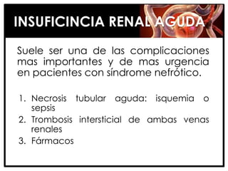 INSUFICINCIA RENAL AGUDA
Suele ser una de las complicaciones
mas importantes y de mas urgencia
en pacientes con síndrome nefrótico.

1. Necrosis tubular aguda: isquemia o
   sepsis
2. Trombosis intersticial de ambas venas
   renales
3. Fármacos
 