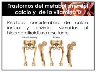 Trastornos del metabolismo del
   calcio y de la vitamina D
Perdidas considerables de calcio
iónico   y    enzimas     sumados al
hiperparatiroidismo resultante.
 