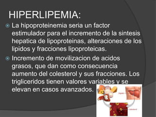 HIPERLIPEMIA:
 La hipoproteinemia seria un factor
  estimulador para el incremento de la sintesis
  hepatica de lipoproteinas, alteraciones de los
  lipidos y fracciones lipoproteicas.
 Incremento de movilizacion de acidos
  grasos, que dan como consecuencia
  aumento del colesterol y sus fracciones. Los
  trigliceridos tienen valores variables y se
  elevan en casos avanzados.
 