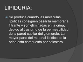 LIPIDURIA:
   Se produce cuando las moleculas
    lipidicas consiguen pasar la membrana
    filtrante y son eliminadas en la orina,
    debido al trastorno de la permeabilidad
    de la pared capilar del glomerulo. La
    mayor parte del material lipidico de la
    orina esta compuesto por colesterol.
 