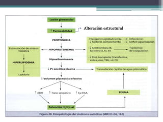 Alteración estructural
 