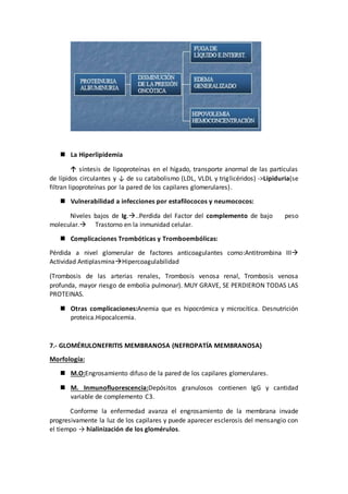  La Hiperlipidemia
↑ síntesis de lipoproteínas en el hígado, transporte anormal de las partículas
de lípidos circulantes y ↓ de su catabolismo (LDL, VLDL y triglicéridos) ->Lipiduria(se
filtran lipoproteínas por la pared de los capilares glomerulares).
 Vulnerabilidad a infecciones por estafilococos y neumococos:
Niveles bajos de Ig...Perdida del Factor del complemento de bajo peso
molecular. Trastorno en la inmunidad celular.
 Complicaciones Trombóticas y Tromboembólicas:
Pérdida a nivel glomerular de factores anticoagulantes como:Antitrombina III
Actividad AntiplasminaHipercoagulabilidad
(Trombosis de las arterias renales, Trombosis venosa renal, Trombosis venosa
profunda, mayor riesgo de embolia pulmonar). MUY GRAVE, SE PERDIERON TODAS LAS
PROTEINAS.
 Otras complicaciones:Anemia que es hipocrómica y microcítica. Desnutrición
proteica.Hipocalcemia.
7.- GLOMÉRULONEFRITIS MEMBRANOSA (NEFROPATÍA MEMBRANOSA)
Morfología:
 M.O:Engrosamiento difuso de la pared de los capilares glomerulares.
 M. Inmunofluorescencia:Depósitos granulosos contienen IgG y cantidad
variable de complemento C3.
Conforme la enfermedad avanza el engrosamiento de la membrana invade
progresivamente la luz de los capilares y puede aparecer esclerosis del mensangio con
el tiempo → hialinización de los glomérulos.
 