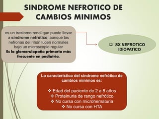 SINDROME NEFROTICO DE
CAMBIOS MINIMOS
es un trastorno renal que puede llevar
a síndrome nefrótico, aunque las
nefronas del riñón lucen normales
bajo un microscopio regular
Es la glomerulopatía primaria más
frecuente en pediatría.
 SX NEFROTICO
IDIOPATICO
Lo característico del síndrome nefrótico de
cambios mínimos es:
 Edad del paciente de 2 a 8 años
 Proteinuria de rango nefrótico
 No cursa con microhematuria
 No cursa con HTA
 