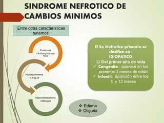 SINDROME NEFROTICO DE
CAMBIOS MINIMOS
El Sx Nefrotico primario se
clasifica en :
IDIOPATICO
 Del primer año de vida
 Congenito : aparece en los
primeros 3 meses de edad
 Infantil: aparición entre los
3 y 12 meses
Entre otras características
tenemos:
Proteinuria
> A 40mg/m2 sup/
hora
Hipoalbuminemia
< 2.5g./dl
Hipercolesterolemia
>250mg/dl
 Edema
 Oliguria
 