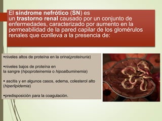 El síndrome nefrótico (SN) es
un trastorno renal causado por un conjunto de
enfermedades, caracterizado por aumento en la
permeabilidad de la pared capilar de los glomérulos
renales que conlleva a la presencia de:
niveles altos de proteína en la orina(proteinuria)
niveles bajos de proteína en
la sangre (hipoproteinemia o hipoalbuminemia)
 ascitis y en algunos casos, edema, colesterol alto
(hiperlipidemia)
predisposición para la coagulación.
 