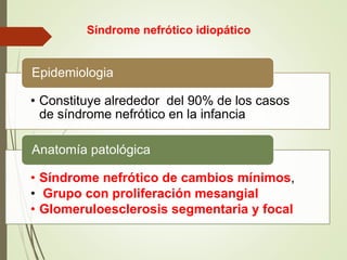 • Constituye alrededor del 90% de los casos
de síndrome nefrótico en la infancia
Epidemiologia
• Síndrome nefrótico de cambios mínimos,
• Grupo con proliferación mesangial
• Glomeruloesclerosis segmentaria y focal
Anatomía patológica
Síndrome nefrótico idiopático
 