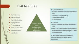 DIAGNOSTICO
 Función renal
 Perfil Lipídico
 Función tiroidea
 Coagulación
 Hemograma
 Inmunoglobulinas
 Complemento
 serología
Biopsia renal
no es
indispensable
para el
diagnóstico
 