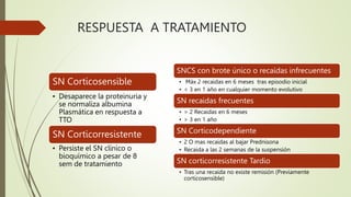 RESPUESTA A TRATAMIENTO
SN Corticosensible
• Desaparece la proteinuria y
se normaliza albumina
Plasmática en respuesta a
TTO
SN Corticorresistente
• Persiste el SN clínico o
bioquímico a pesar de 8
sem de tratamiento
SNCS con brote único o recaídas infrecuentes
• Máx 2 recaidas en 6 meses tras episodio inicial
• < 3 en 1 año en cualquier momento evolutivo
SN recaidas frecuentes
• > 2 Recaidas en 6 meses
• > 3 en 1 año
SN Corticodependiente
• 2 O mas recaidas al bajar Prednisona
• Recaida a las 2 semanas de la suspensión
SN corticorresistente Tardio
• Tras una recaida no existe remisión (Previamente
corticosensible)
 