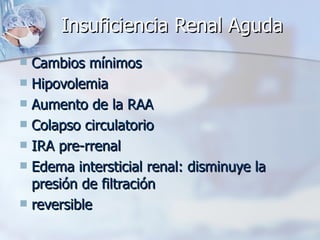 Insuficiencia Renal Aguda Cambios mínimos Hipovolemia Aumento de la RAA Colapso circulatorio IRA pre-rrenal Edema intersticial renal: disminuye la presión de filtración reversible 