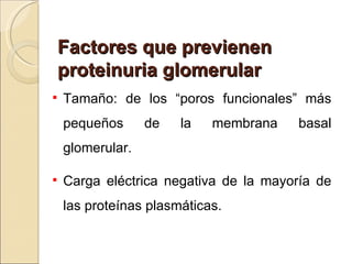 Factores que previenen
    proteinuria glomerular
   Tamaño: de los “poros funcionales” más
    pequeños      de   la   membrana   basal
    glomerular.

   Carga eléctrica negativa de la mayoría de
    las proteínas plasmáticas.
 