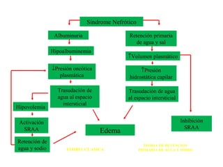 Síndrome Nefrótico

                Albuminuria                  Retención primaria
                                                de agua y sal
               Hipoalbuminemia
                                            ↑Volumen plasmático

               ↓Presión oncótica                  ↑Presión
                  plasmática                 hidrostática capilar

                 Trasudación de              Trasudación de agua
                 agua al espacio             al espacio intersticial
                   intersticial
Hipovolemia

 Activación                                                            Inhibición
  SRAA                                                                   SRAA
                                   Edema
Retención de
                                                     TEORIA DE RETENCION
agua y sodio         TEORIA CLASICA                PRIMARIA DE AGUA Y SODIO
 