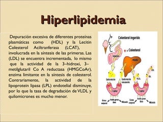 Hiperlipidemia
 Depuración excesiva de diferentes proteínas
plasmáticas como        (HDL) y la Lecitin
Colesterol Aciltranferasa (LCAT),
involucrada en la síntesis de las primeras. Las
(LDL) se encuentra incrementada, lo mismo
 que la actividad de la 3–hidroxi, 3–
metilglutaril Co A reductasa (HMGCoAr),
enzima limitante en la síntesis de colesterol.
Contrariamente, la actividad de la
lipoprotein lipasa (LPL) endotelial disminuye,
por lo que la tasa de degradación de VLDL y
quilomicrones es mucho menor.
 