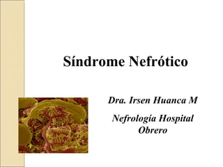 Síndrome Nefrótico

      Dra. Irsen Huanca M
       Nefrología Hospital
             Obrero
 