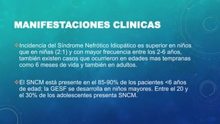MANIFESTACIONES CLINICAS
Incidencia del Síndrome Nefrótico Idiopático es superior en niños
que en niñas (2:1) y con mayor frecuencia entre los 2-6 años,
también existen casos que ocurrieron en edades mas tempranas
como 6 meses de vida y también en adultos.
El SNCM está presente en el 85-90% de los pacientes <6 años
de edad; la GESF se desarrolla en niños mayores. Entre el 20 y
el 30% de los adolescentes presenta SNCM.
 