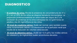 DIAGNOSTICO
• El análisis de orina: Revela la presencia de una proteinuria de 3+ o
4+ y en un 20% de los niños se observa hematuria microscópica. La
proporción proteína/creatinina en orina suele ser mayor de 2 y la
excreción de proteínas en la orina sobrepasa los 3,5 g/24 horas en
adultos y los 40 mg/m2/hora en los niños.
• El nivel de creatinina sérica: Suele ser normal, pero también puede
verse incrementado debido a la disminución en la perfusión renal que
resulta de la reducción de volumen intravascular.
• El nivel de albúmina sérica : Suele ser <2,5 g/dl y los niveles séricos
de colesterol y de triglicéridos suelen encontrarse elevados.
 
