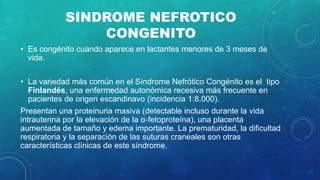 SINDROME NEFROTICO
CONGENITO
• Es congénito cuando aparece en lactantes menores de 3 meses de
vida.
• La variedad más común en el Síndrome Nefrótico Congénito es el tipo
Finlandés, una enfermedad autonómica recesiva más frecuente en
pacientes de origen escandinavo (incidencia 1:8.000).
Presentan una proteinuria masiva (detectable incluso durante la vida
intrauterina por la elevación de la α-fetoproteína), una placenta
aumentada de tamaño y edema importante. La prematuridad, la dificultad
respiratoria y la separación de las suturas craneales son otras
características clínicas de este síndrome.
 