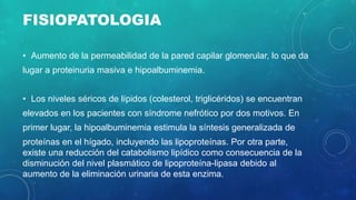FISIOPATOLOGIA
• Aumento de la permeabilidad de la pared capilar glomerular, lo que da
lugar a proteinuria masiva e hipoalbuminemia.
• Los niveles séricos de lípidos (colesterol, triglicéridos) se encuentran
elevados en los pacientes con síndrome nefrótico por dos motivos. En
primer lugar, la hipoalbuminemia estimula la síntesis generalizada de
proteínas en el hígado, incluyendo las lipoproteínas. Por otra parte,
existe una reducción del catabolismo lipídico como consecuencia de la
disminución del nivel plasmático de lipoproteína-lipasa debido al
aumento de la eliminación urinaria de esta enzima.
 
