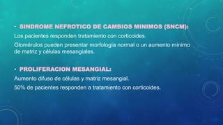 • SINDROME NEFROTICO DE CAMBIOS MINIMOS (SNCM):
Los pacientes responden tratamiento con corticoides.
Glomérulos pueden presentar morfología normal o un aumento mínimo
de matriz y células mesangiales.
• PROLIFERACION MESANGIAL:
Aumento difuso de células y matriz mesangial.
50% de pacientes responden a tratamiento con corticoides.
 