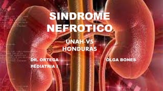SINDROME
NEFROTICO
DR. ORTEGA OLGA BONES
PEDIATRIA I
UNAH-VS
HONDURAS
 