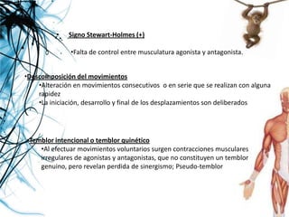 •   Signo Stewart-Holmes (+)

               •Falta de control entre musculatura agonista y antagonista.


•Descomposición del movimientos
    •Alteración en movimientos consecutivos o en serie que se realizan con alguna
    rapidez
    •La iniciación, desarrollo y final de los desplazamientos son deliberados




•Temblor intencional o temblor quinético
    •Al efectuar movimientos voluntarios surgen contracciones musculares
    irregulares de agonistas y antagonistas, que no constituyen un temblor
    genuino, pero revelan perdida de sinergismo; Pseudo-temblor
 