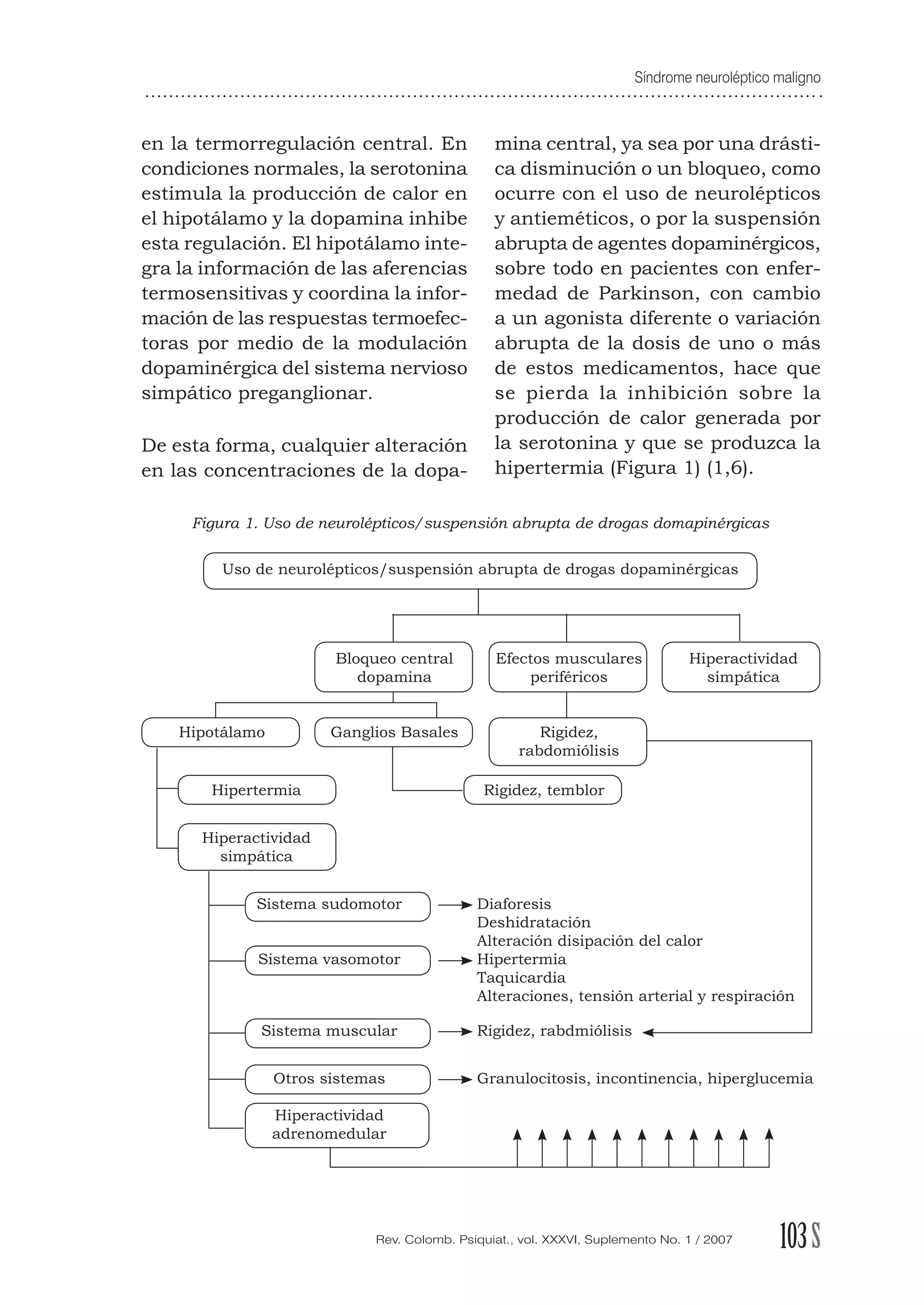 Síndrome neuroléptico maligno
103SRev. Colomb. Psiquiat., vol. XXXVI, Suplemento No. 1 / 2007
en la termorregulación central. En
condiciones normales, la serotonina
estimula la producción de calor en
el hipotálamo y la dopamina inhibe
esta regulación. El hipotálamo inte-
gra la información de las aferencias
termosensitivas y coordina la infor-
mación de las respuestas termoefec-
toras por medio de la modulación
dopaminérgica del sistema nervioso
simpático preganglionar.
De esta forma, cualquier alteración
en las concentraciones de la dopa-
mina central, ya sea por una drásti-
ca disminución o un bloqueo, como
ocurre con el uso de neurolépticos
y antieméticos, o por la suspensión
abrupta de agentes dopaminérgicos,
sobre todo en pacientes con enfer-
medad de Parkinson, con cambio
a un agonista diferente o variación
abrupta de la dosis de uno o más
de estos medicamentos, hace que
se pierda la inhibición sobre la
producción de calor generada por
la serotonina y que se produzca la
hipertermia (Figura 1) (1,6).
Figura 1. Uso de neurolépticos/suspensión abrupta de drogas domapinérgicas
Uso de neurolépticos/suspensión abrupta de drogas dopaminérgicas
Bloqueo central Efectos musculares Hiperactividad
dopamina periféricos simpática
Hipotálamo Ganglios Basales Rigidez,
rabdomiólisis
Hipertermia Rigidez, temblor
Hiperactividad
simpática
Sistema sudomotor Diaforesis
Deshidratación
Alteración disipación del calor
Sistema vasomotor Hipertermia
Taquicardia
Alteraciones, tensión arterial y respiración
Sistema muscular Rigidez, rabdmiólisis
Otros sistemas Granulocitosis, incontinencia, hiperglucemia
Hiperactividad
adrenomedular
 